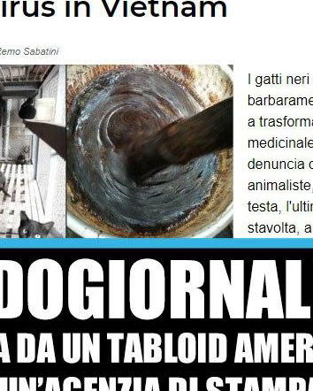 Vietnam, gatti neri e magiche pozioni