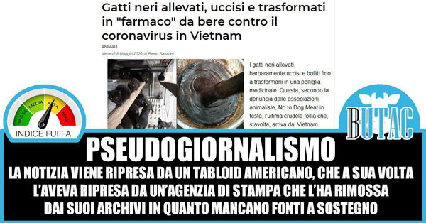 Vietnam, gatti neri e magiche pozioni