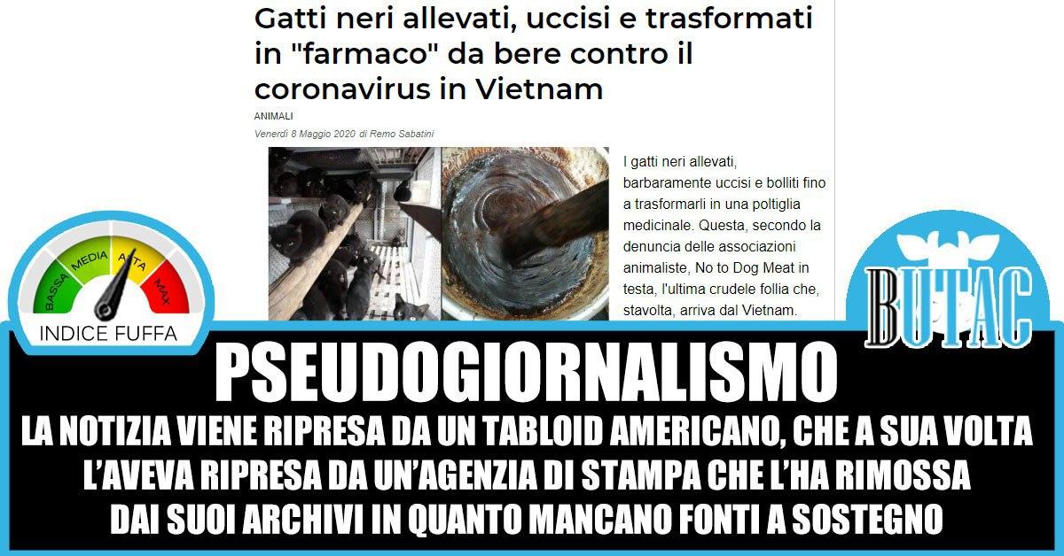 Vietnam, gatti neri e magiche pozioni article-post