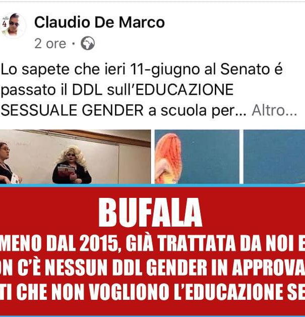 Il decreto dell 11 giugno sul gender article-post