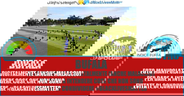 Hellas Verona e bufalari