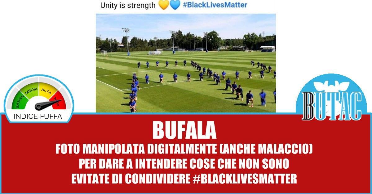 Hellas Verona e bufalari article-post