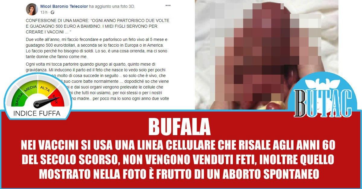 Micol, i feti usati per i vaccini e Telecolor article-post