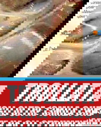 Carne di cane per cena (e perché non di troll?)