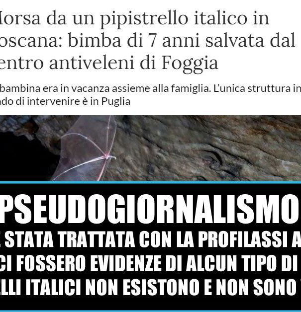 Il pipistrello velenoso e la stampa un tanto al chilo article-post