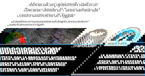 Il pipistrello velenoso e la stampa un tanto al chilo
