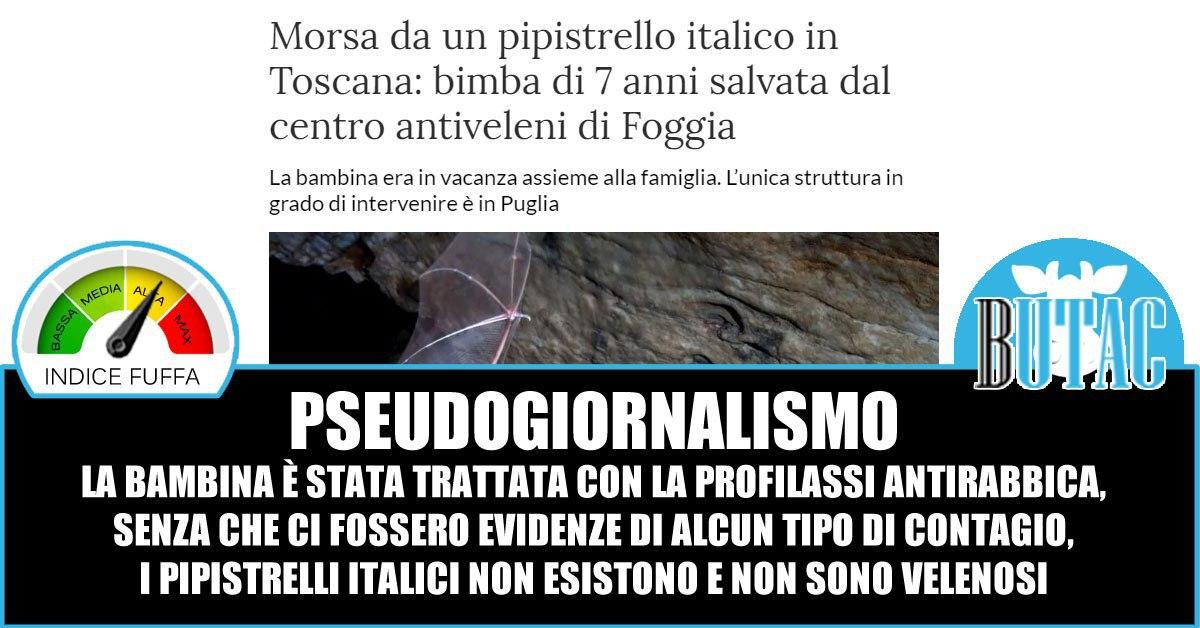 Il pipistrello velenoso e la stampa un tanto al chilo article-post