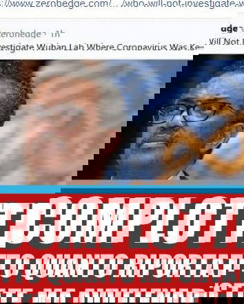 ZeroHedge e la disinformazione