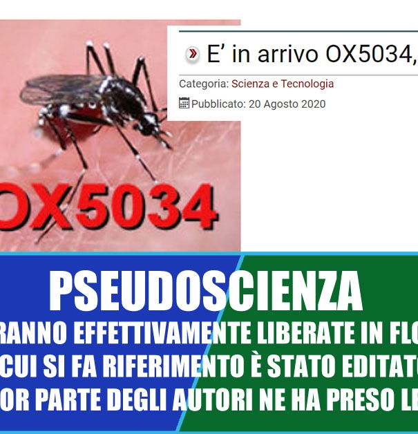 OX5034, la zanzara OGM… article-post