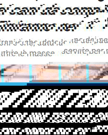 Kim Jong, i cani e le fonti