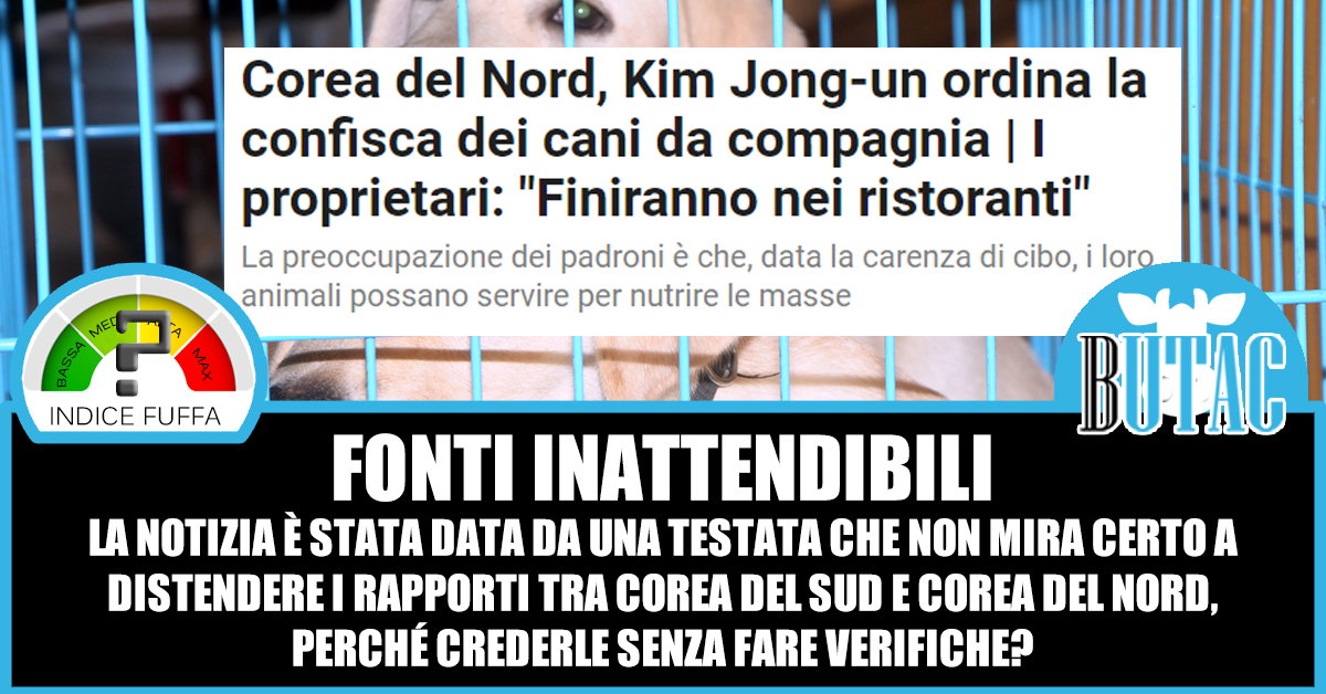 Kim Jong, i cani e le fonti article-post