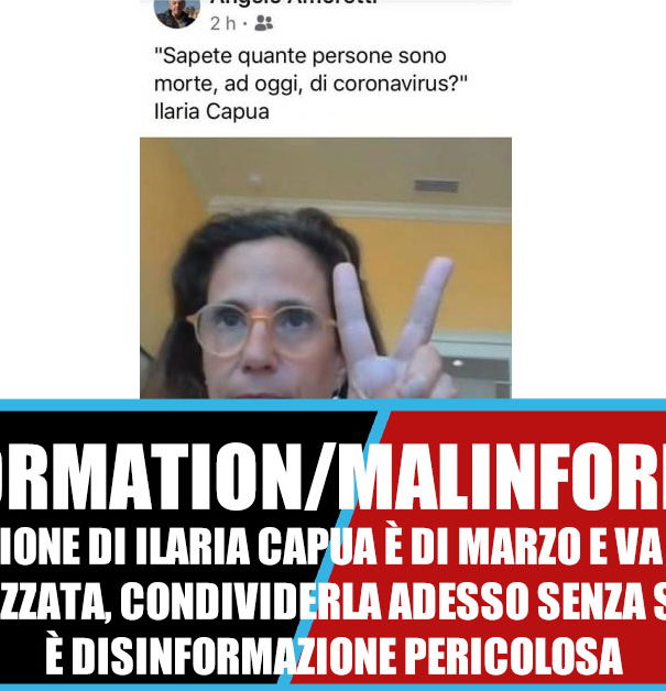 Morti di coronavirus e Ilaria Capua article-post