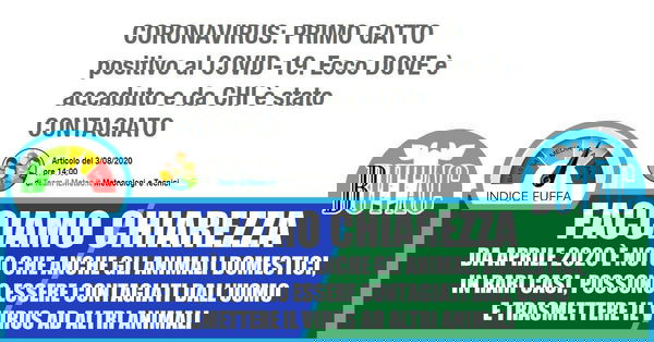 Il Meteo, i gatti e il sensazionalismo da Covid-19