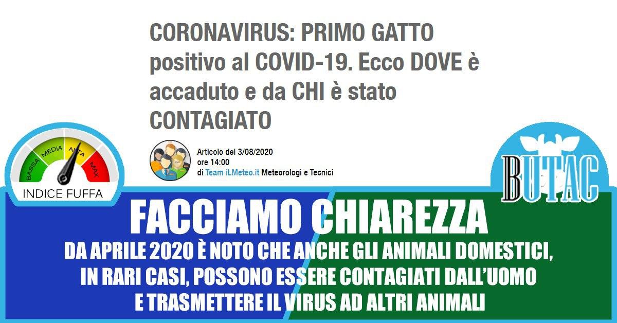 Il Meteo, i gatti e il sensazionalismo da Covid-19 article-post