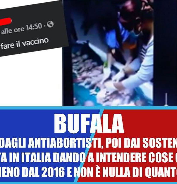 Feti, vaccini, adrenocromo e QAnon article-post