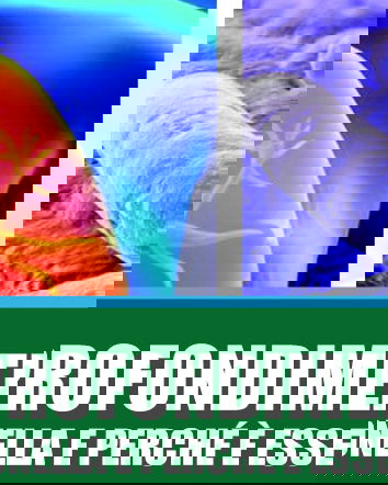 Le avventure di maicolengel: la Legionella