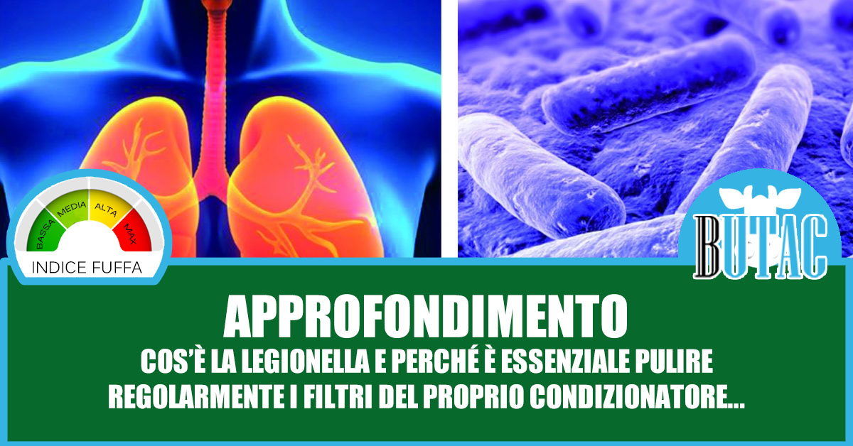 Le avventure di maicolengel: la Legionella article-post
