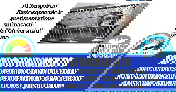 La saga dei macachi di Torino continua…