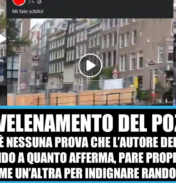 Troupe di giornalisti italiani in Olanda fanno servizi falsi article-post
