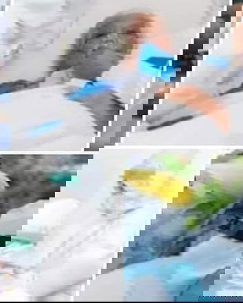 Le foto che provano il complotto