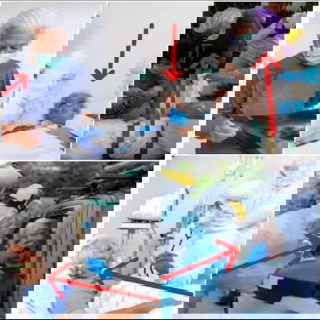 Le foto che provano il complotto article-post