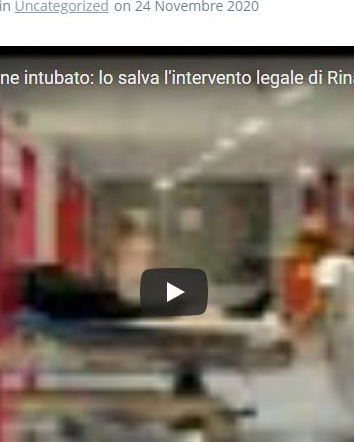 Rinascimento Italia e la disinformazione