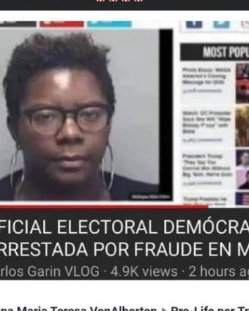 Sostenitori di Trump e disinformazione