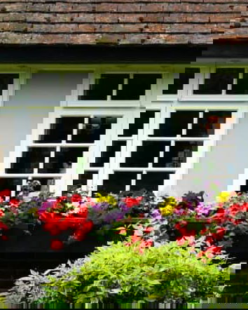 L’élite di Davos e la casa di proprietà