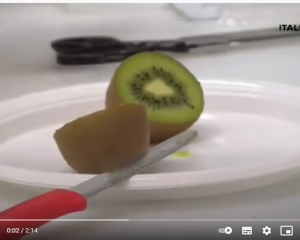 Il tampone positivo al kiwi article-post