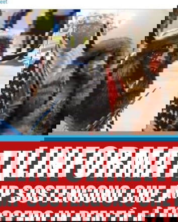 Speciale Capitol Hill – Antifa al Congresso…