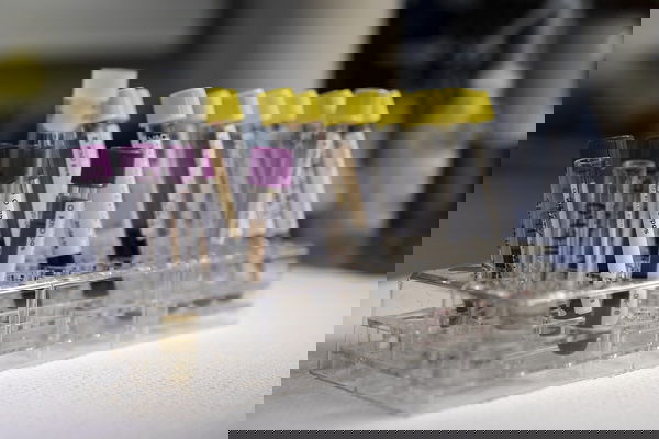 Kit di test per COVID-19 o reagente per tamponi?