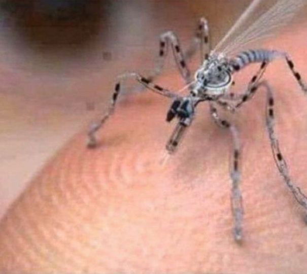 La zanzara drone article-post