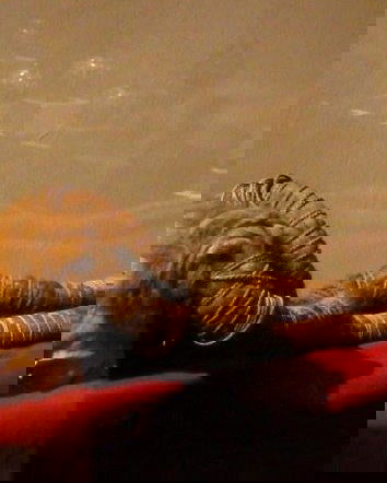 Il teschio alieno di Nazca