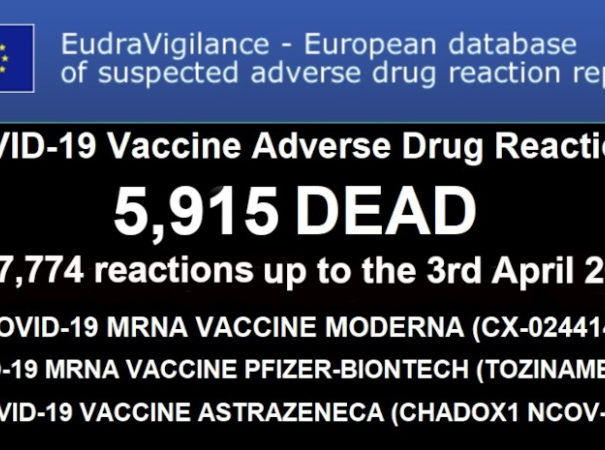 Ancora sulle morti da vaccino article-post