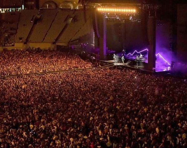 Nuova Zelanda e concerti article-post