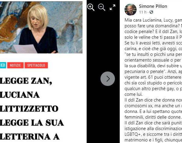 Pillon e il DDL Zan article-post