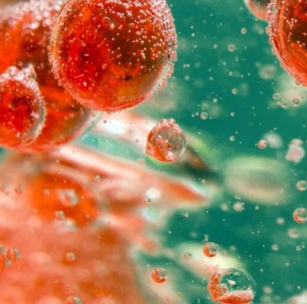 Fino al 10% dei vaccinati sviluppa malattia autoimmune article-post