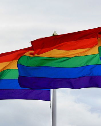 Il DDL Zan, tra bufale e realtà [Vol. 3]