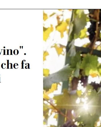 Il vino, Coldiretti e l’Unione Europea