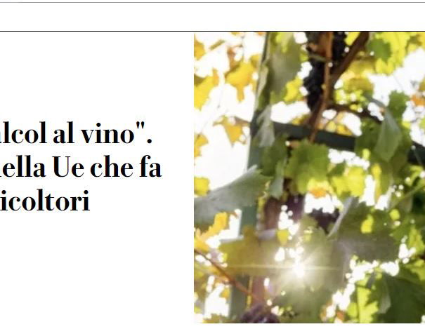 Il vino, Coldiretti e l’Unione Europea article-post