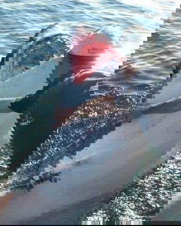 Arnold Pointer e il suo amico squalo