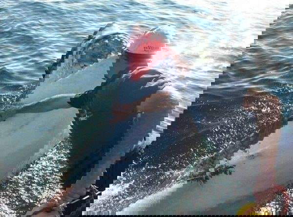 Arnold Pointer e il suo amico squalo article-post