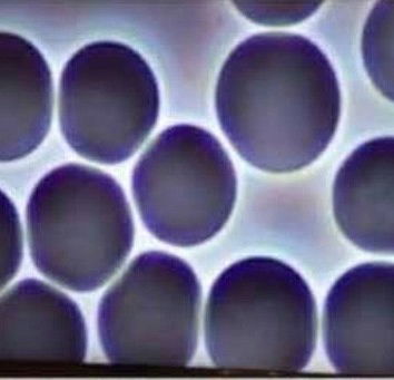 Le fonti, signora mia, le fonti