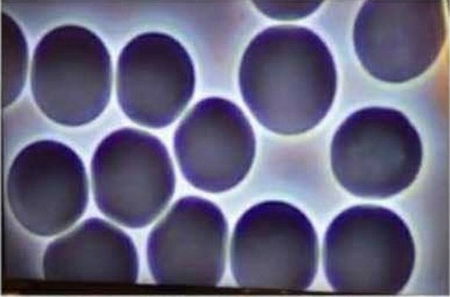 Le fonti, signora mia, le fonti article-post