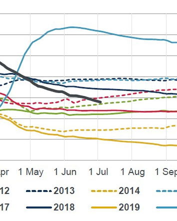 Cesare Sacchetti e i grafici sulla mortalità cumulativa