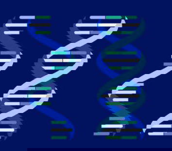 Conversione RNA in DNA?