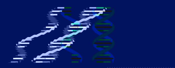 Conversione RNA in DNA?