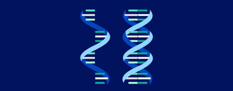 Conversione RNA in DNA? article-post