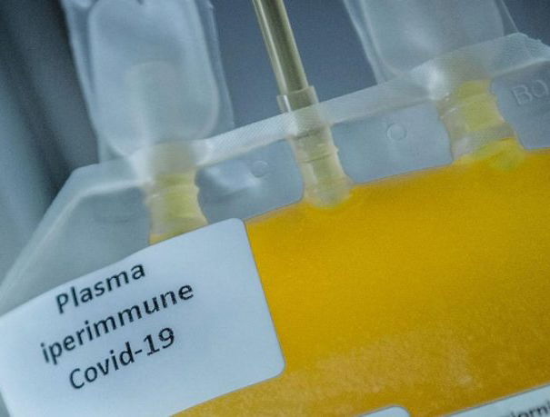 Plasma iperimmune e promesse infrante… article-post