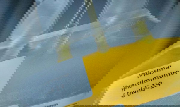 Plasma iperimmune e promesse infrante…